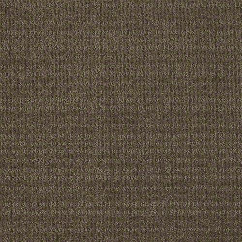 Room Scene of Unleashed - Carpet by Shaw Flooring