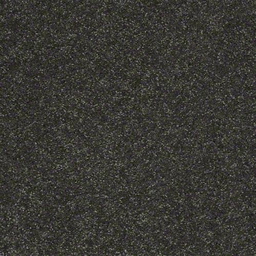 Room Scene of Elm Haven 12 - Carpet by Shaw Flooring