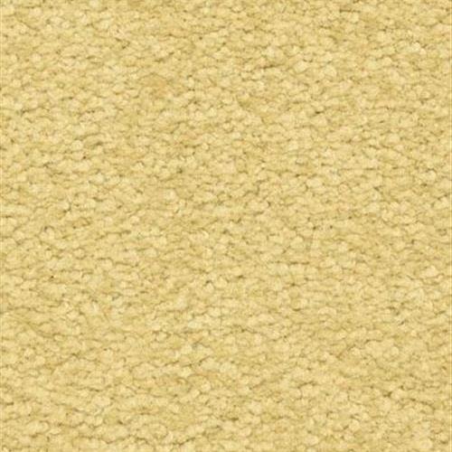 Room Scene of Cassina - Carpet by The Dixie Group