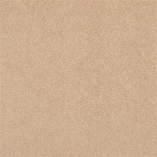 Room Scene of Americana - Carpet by Masland Carpets
