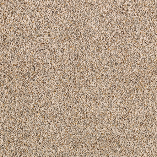 Amazing Approach in Oyster Shell - Carpet by Mohawk Flooring