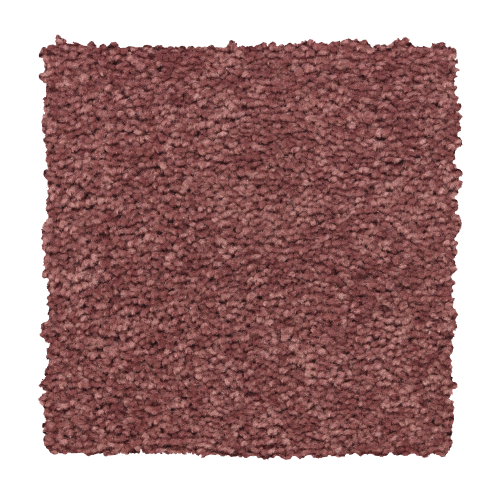 Lively Intuition in Intrigue - Carpet by Mohawk Flooring