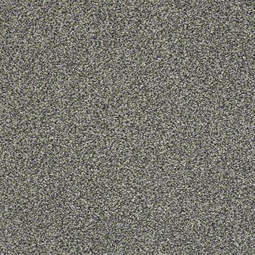 Room Scene of The Bark Side II - Carpet by Shaw Flooring