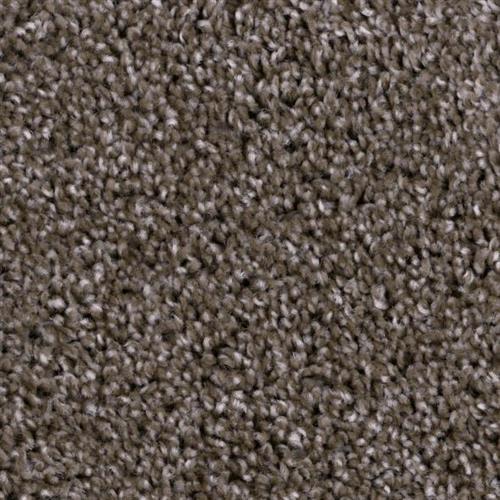 Room Scene of Refined - Carpet by Phenix Flooring