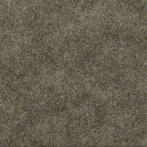 Room Scene of Sangallo - Carpet by Shaw Flooring