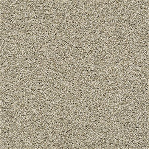 Room Scene of Poised Net - Carpet by Shaw Flooring