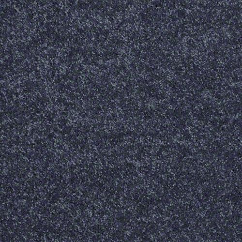 Room Scene of Extraordinary Touch I - Carpet by Shaw Flooring