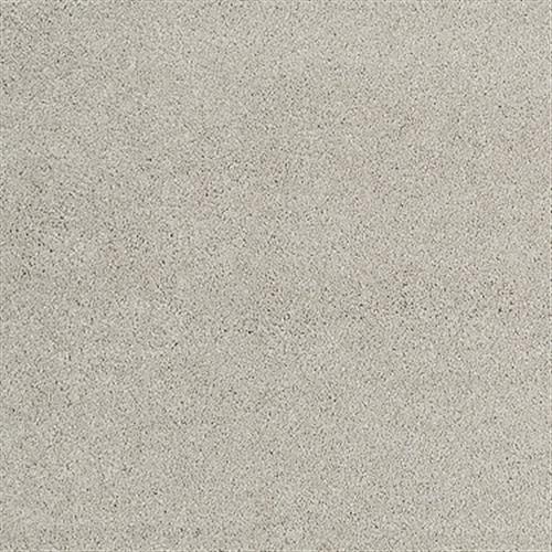 Room Scene of Quiet Comfort Classic II - Carpet by Shaw Flooring