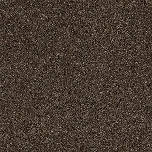 Room Scene of Hollywood Glamour - Carpet by Shaw Flooring