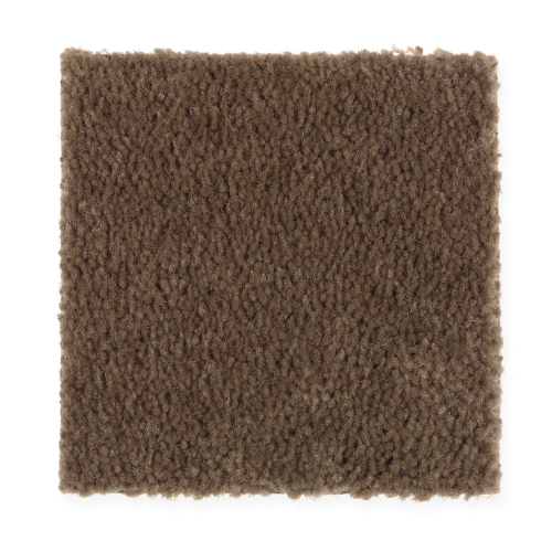 Instant Classic in Pumpernickel - Carpet by Mohawk Flooring