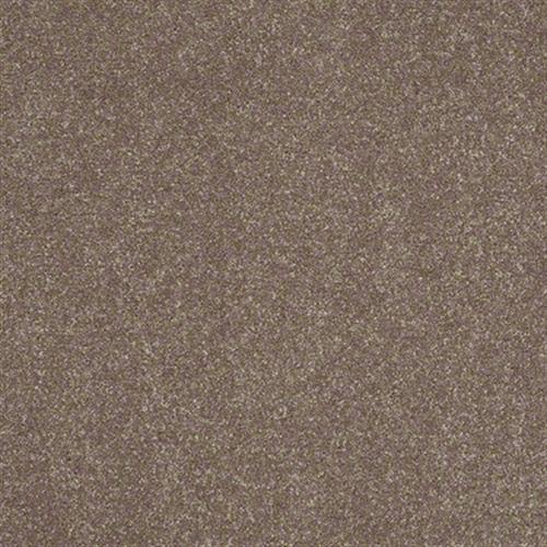 Room Scene of Secret Escape III 15' - Carpet by Shaw Flooring