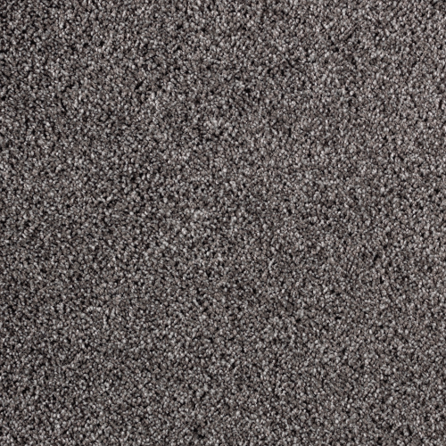 Extravagance in Ebony Field - Carpet by Mohawk Flooring