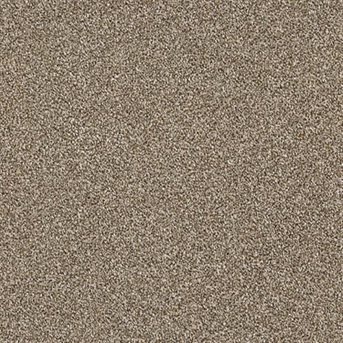 Room Scene of Fashion Magic I - Carpet by Shaw Flooring