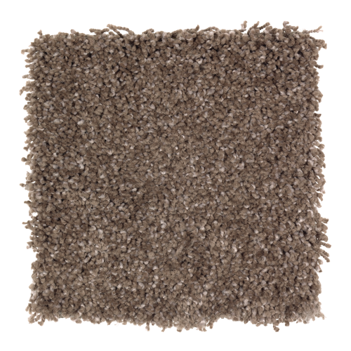 Pleasing Nature in Camelot - Carpet by Mohawk Flooring