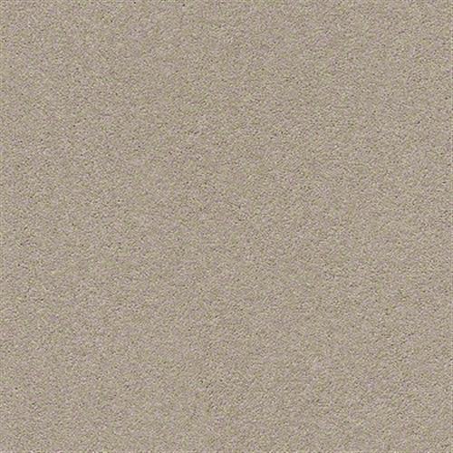 Room Scene of Classic Beauty - Carpet by Shaw Flooring
