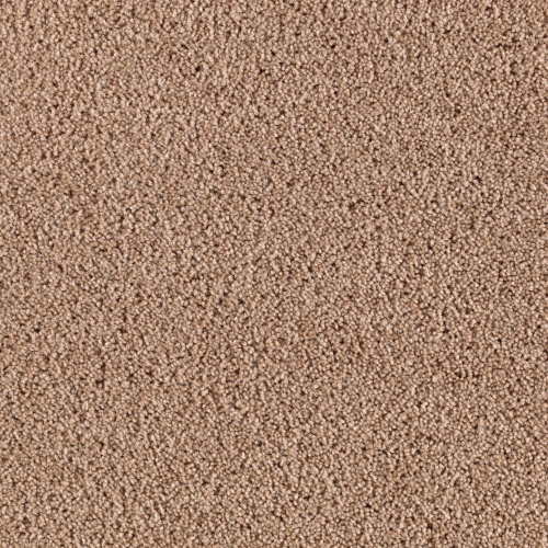 Comfort Zone in Summer Harvest - Carpet by Mohawk Flooring
