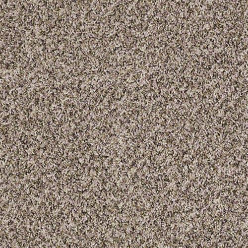 Room Scene of Decorate With Me II - Carpet by Shaw Flooring