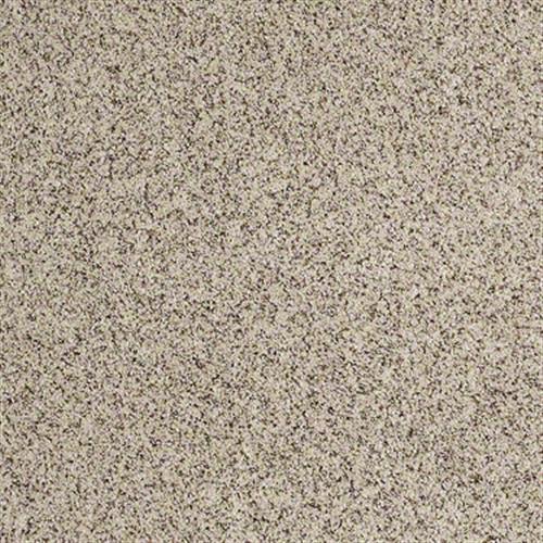 Room Scene of Good Move ! - Carpet by Shaw Flooring