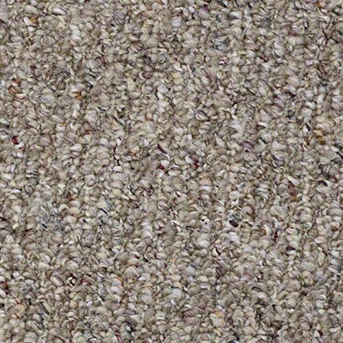 Room Scene of Mckeesport II 15 - Carpet by Shaw Flooring