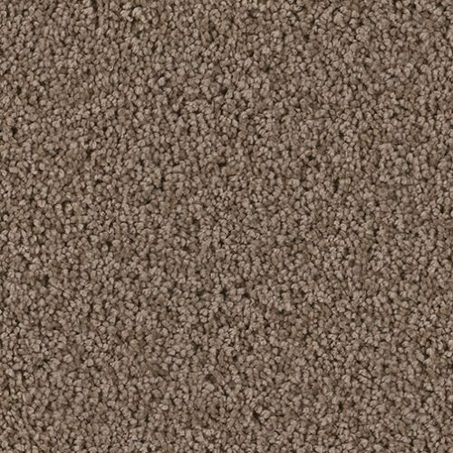 Serenity in Cocoa - Carpet by Engineered Floors
