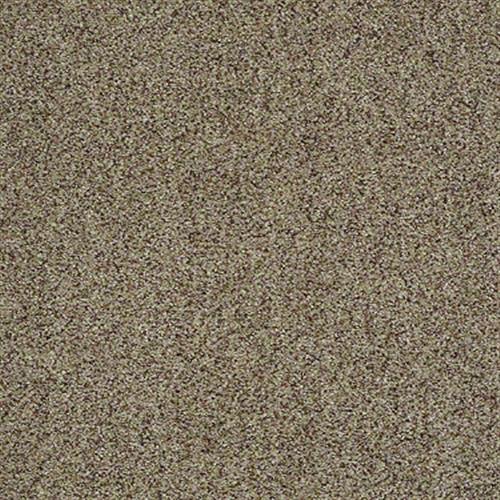 Room Scene of Premier (a) - Carpet by Shaw Flooring