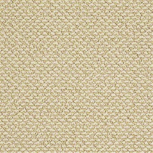 Room Scene of Statements Of Style - Carpet by Shaw Flooring