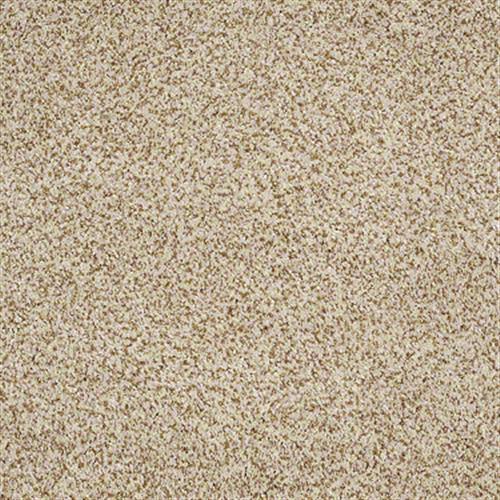 Room Scene of Venecia - Carpet by Shaw Flooring