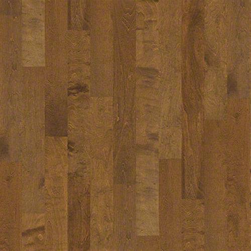 Room Scene of Tallahassee - Hardwood by Shaw Flooring