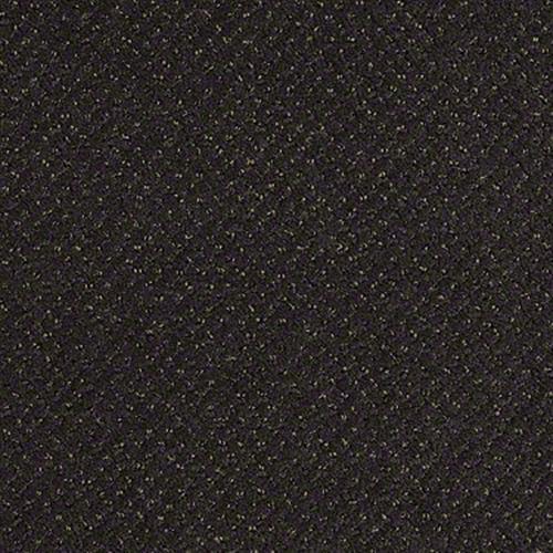 Room Scene of Legend Falls - Carpet by Shaw Flooring