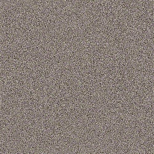 Room Scene of Take The Floor Tonal I - Carpet by Shaw Flooring