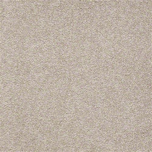 Room Scene of Sandy Hollow Classic I 12' - Carpet by Shaw Flooring