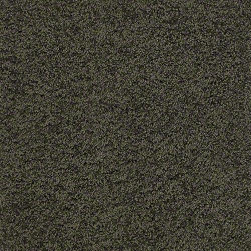 Room Scene of Enduring Comfort III - Carpet by Shaw Flooring