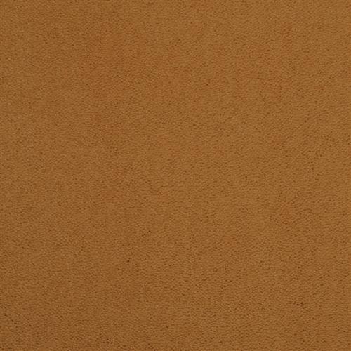 Room Scene of Cache - Carpet by Masland Carpets