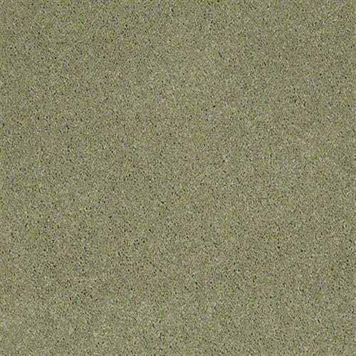 Room Scene of Quiet Comfort I - Carpet by Shaw Flooring