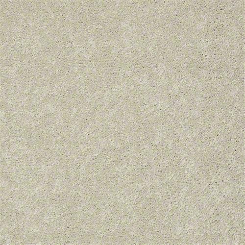 Room Scene of Murphy - Carpet by Shaw Flooring
