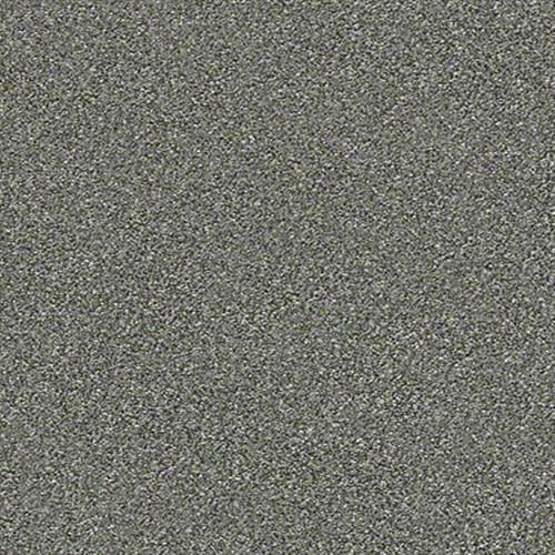 Room Scene of Attainable Solid Net - Carpet by Shaw Flooring