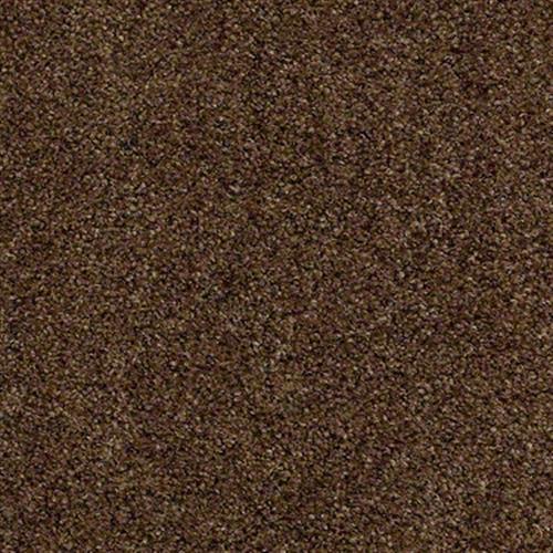 Room Scene of The Gardens - Carpet by Shaw Flooring