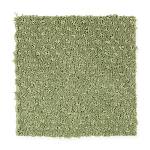 Unification in Willow Wisp - Carpet by Mohawk Flooring