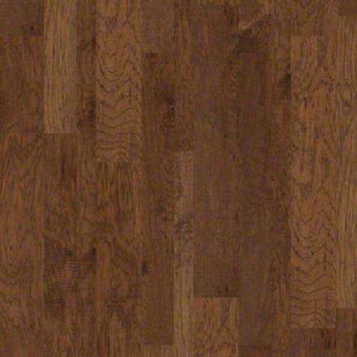 Room Scene of Hudson Bay - Hardwood by Shaw Flooring