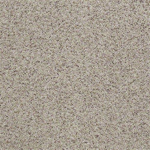 Room Scene of You Know It - Carpet by Shaw Flooring