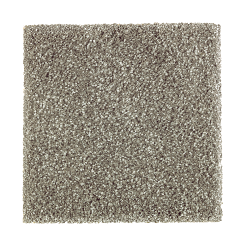 Nature's Appeal II in Evening Shadow - Carpet by Mohawk Flooring