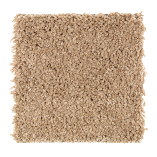Crowd Favorite in Light Amber - Carpet by Mohawk Flooring