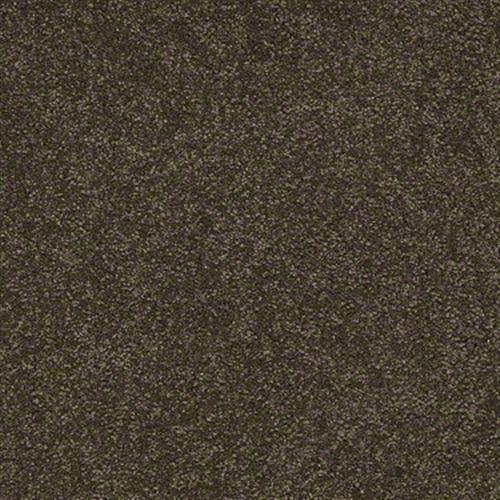 Room Scene of Sandy Hollow I 15' - Carpet by Shaw Flooring