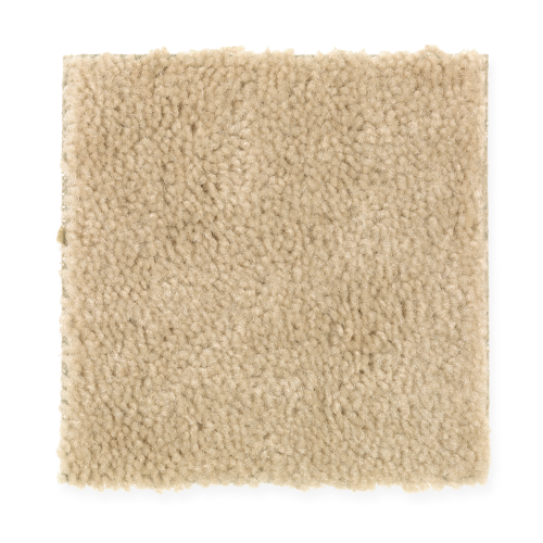 Everyday Living in Gold Coast - Carpet by Mohawk Flooring