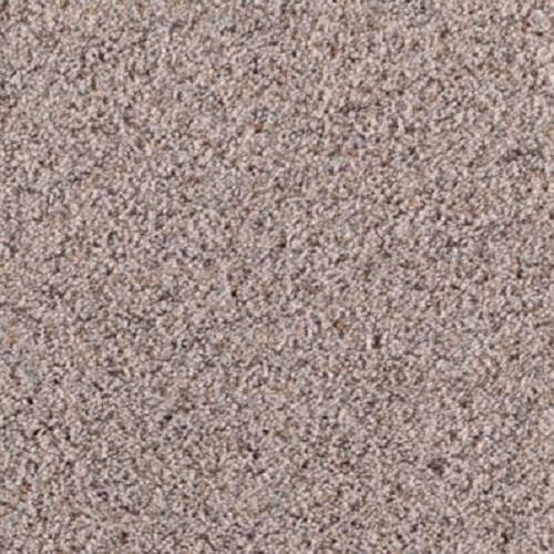 Room Scene of Ageless Attraction - Carpet by Mohawk Flooring