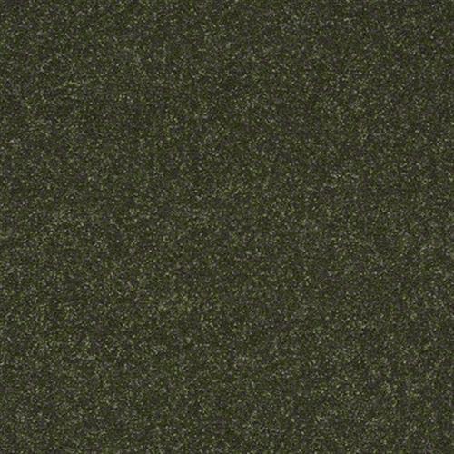 Room Scene of Enjoy The Moment 1 12 - Carpet by Shaw Flooring