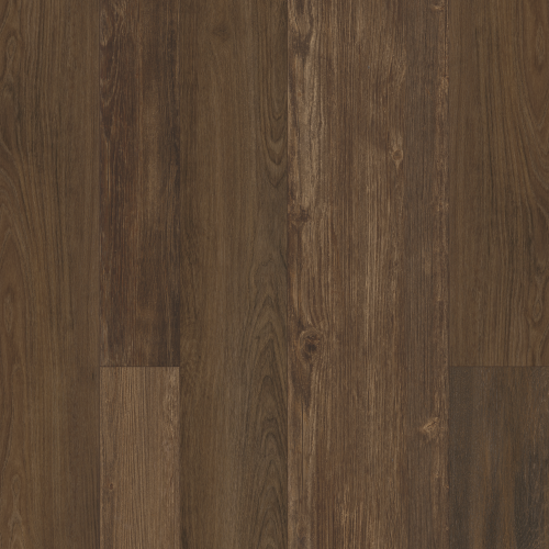 Perfect Manner in Death By Chocolate - Vinyl by Mohawk Flooring