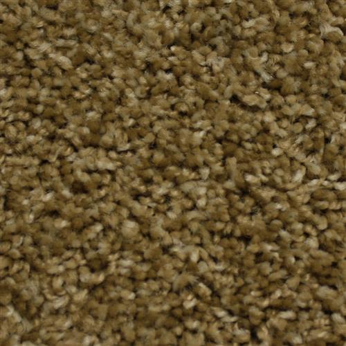 Room Scene of Northern Lights - Carpet by Phenix Flooring