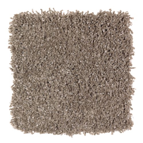 Pleasing Nature in Ashwood - Carpet by Mohawk Flooring