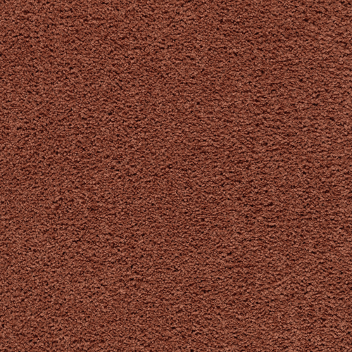 Calming Retreat in Warm Autumn - Carpet by Mohawk Flooring